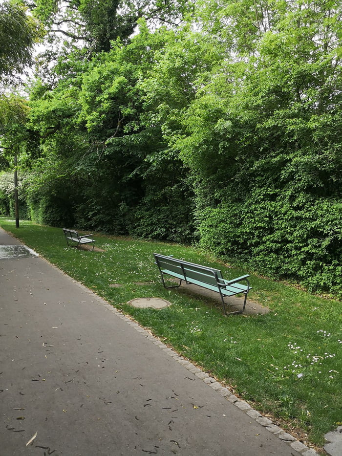 What a nice tree, let's put some benches there