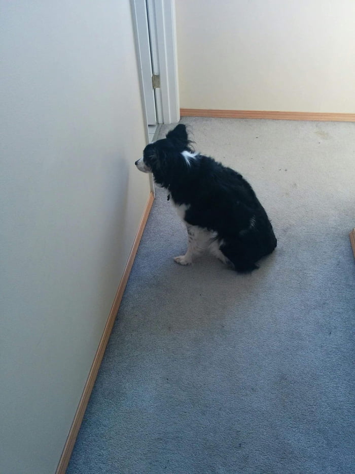 S a d b o y e