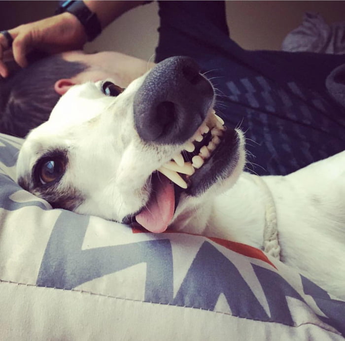 G O O D G U R L wake up in rite side of bed