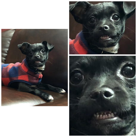 DAMMIT TAKE THE PICTURE ALREADY
