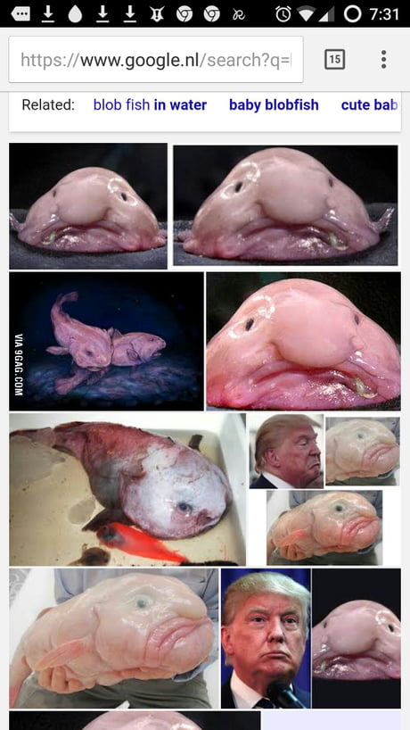 On Blobfish (Commenting Guidelines)