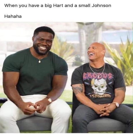 20 Funniest Memes of The Rock  Dwayne johnson meme, Dwayne johnson, Rock  meme