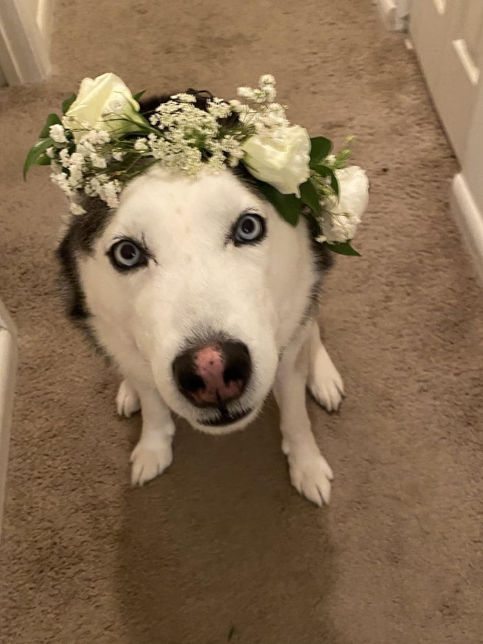 Flower child 9GAG