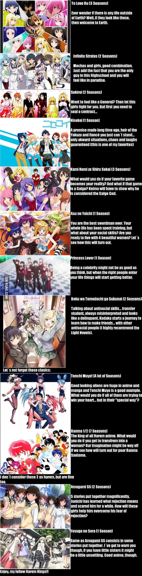 Harem anime in a nutshell - 9GAG