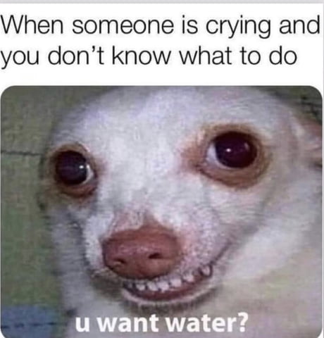 Best 30+ Funny Memes fun on 9GAG