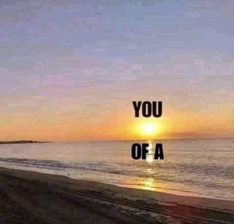 You Sun Of A Beach 9gag