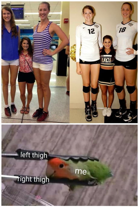 Futa Cheerleader Futa Cheerleader