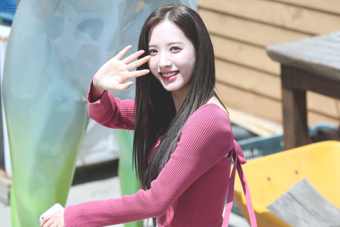 Photo : Bona