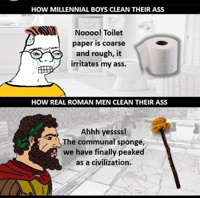 I would take a roll of coarse toilet paper over a Xylospongium any day