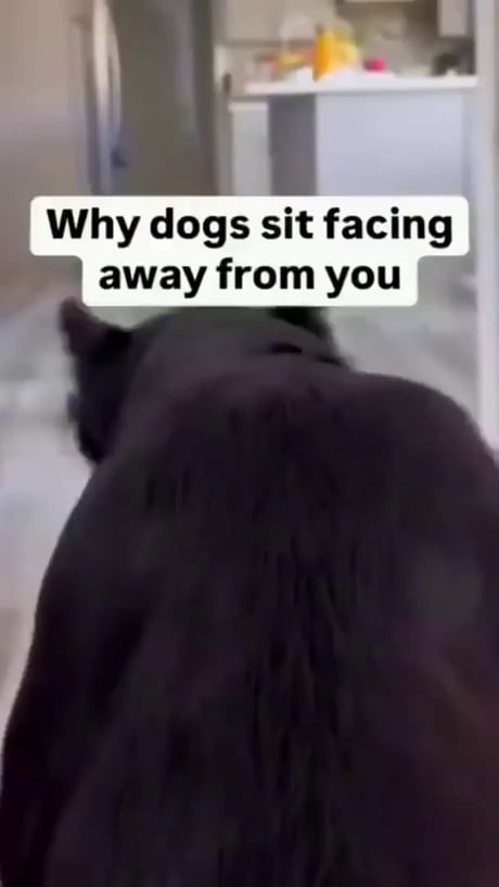 The breakfast hasn't been delivered on schedule