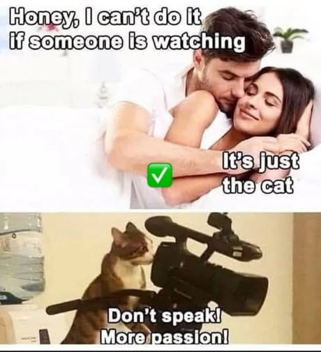 9gag New Memes 9GAG Best Funny Memes And Breaking News