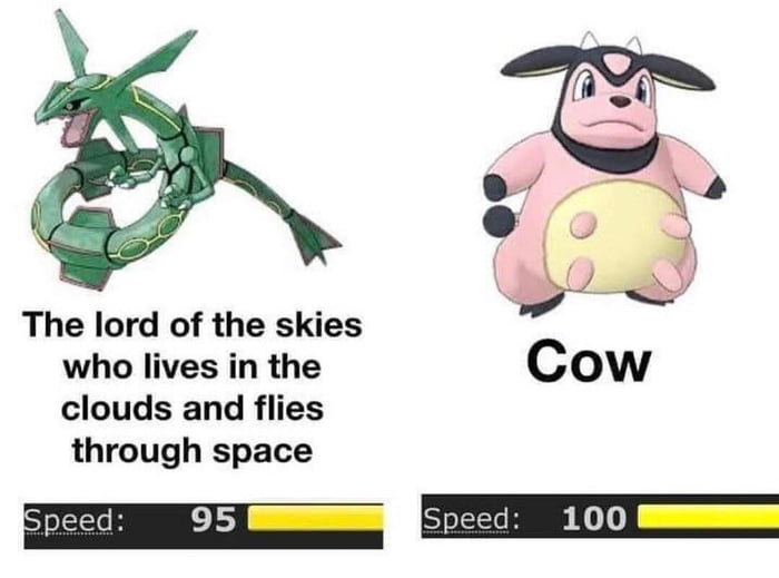 Cow - 9GAG