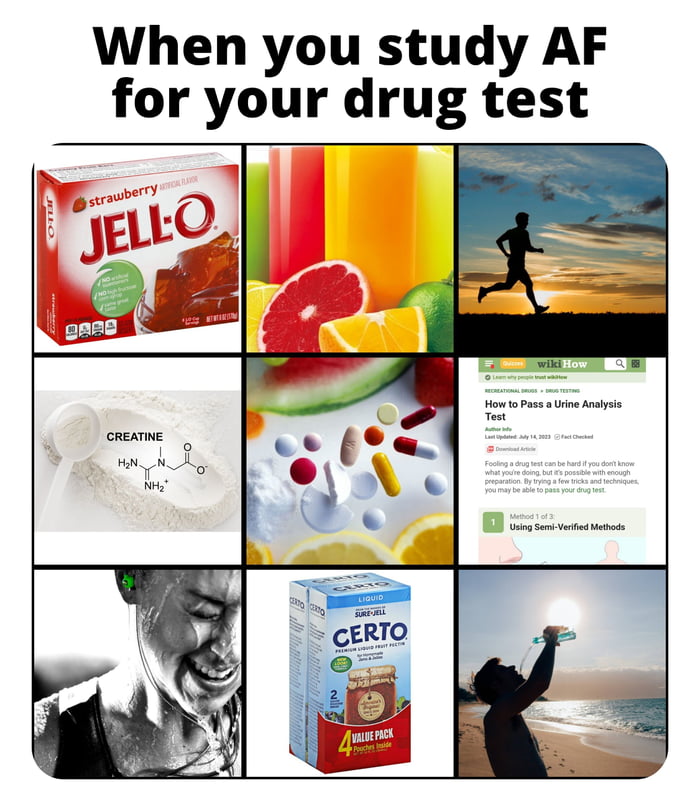 Acing your drug test 9GAG