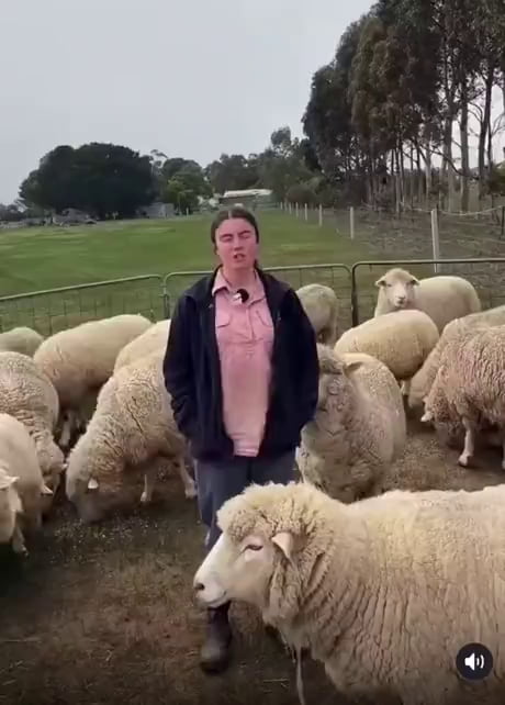 Information you need