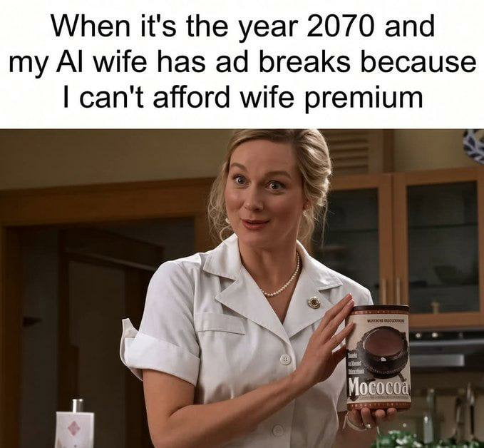 Should have bought the pirated model