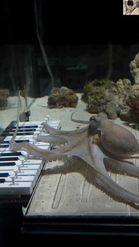 Check this thing I found....*