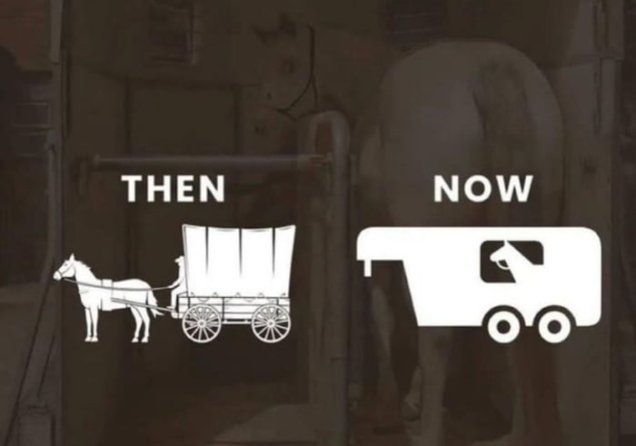 Well Played Horse, Well Played...!