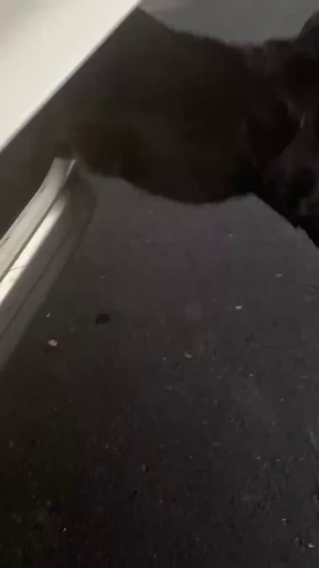 He couldn't contain his excitement for pool day. There's nowhere he'd rather be than here with his fish. :-)