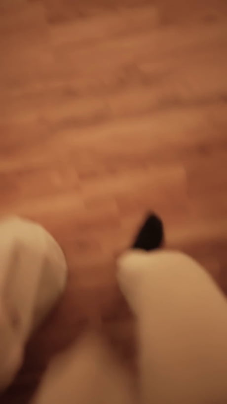 The northern lights tonight from my front door in North Pole, Alaska