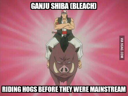 Hog Riders Memes