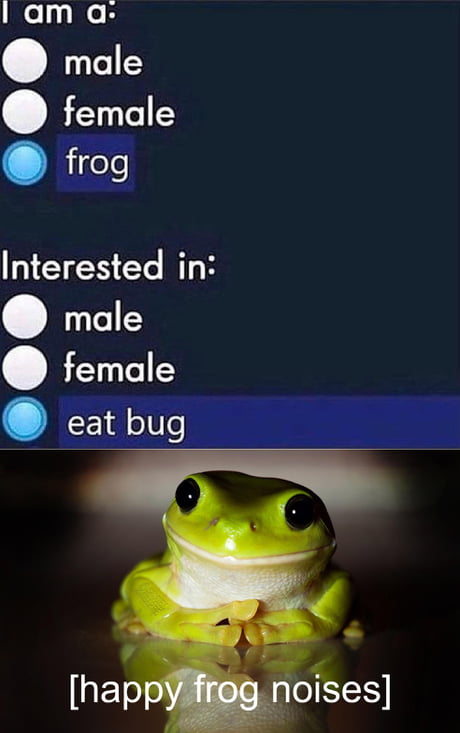 frog dating site