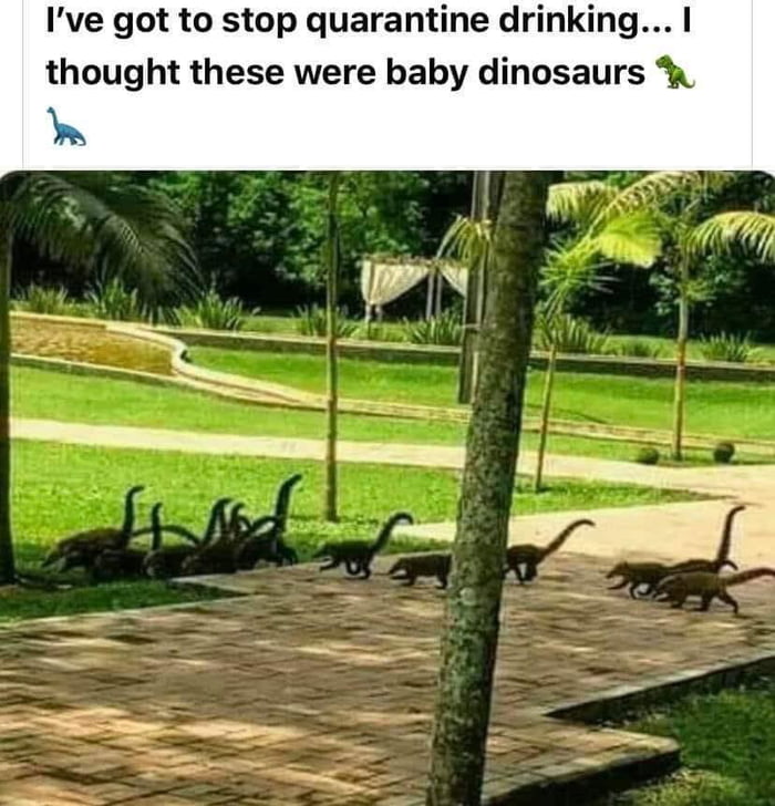 Why is it easier to see baby dinosaurs?!