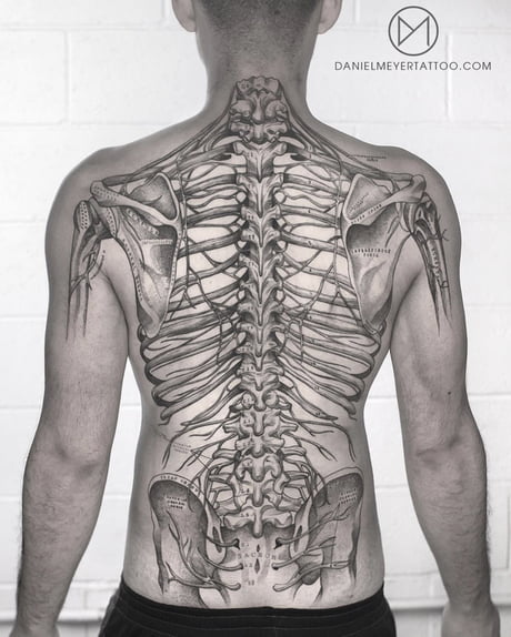 human themed tattoo | Geometry tattoo, Anatomy tattoo, Science tattoos