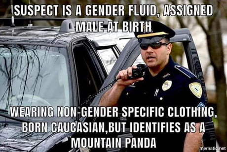 aPYGA4g_460s.jpg