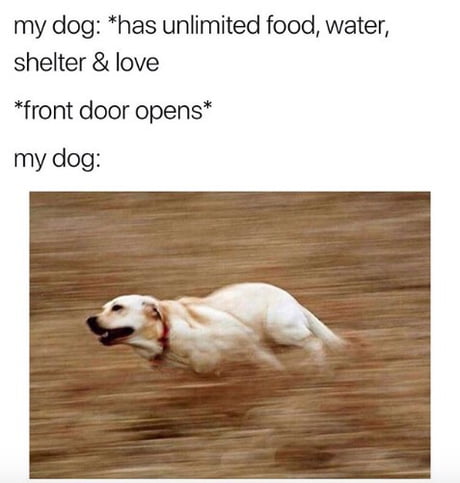 Gotta get away!!