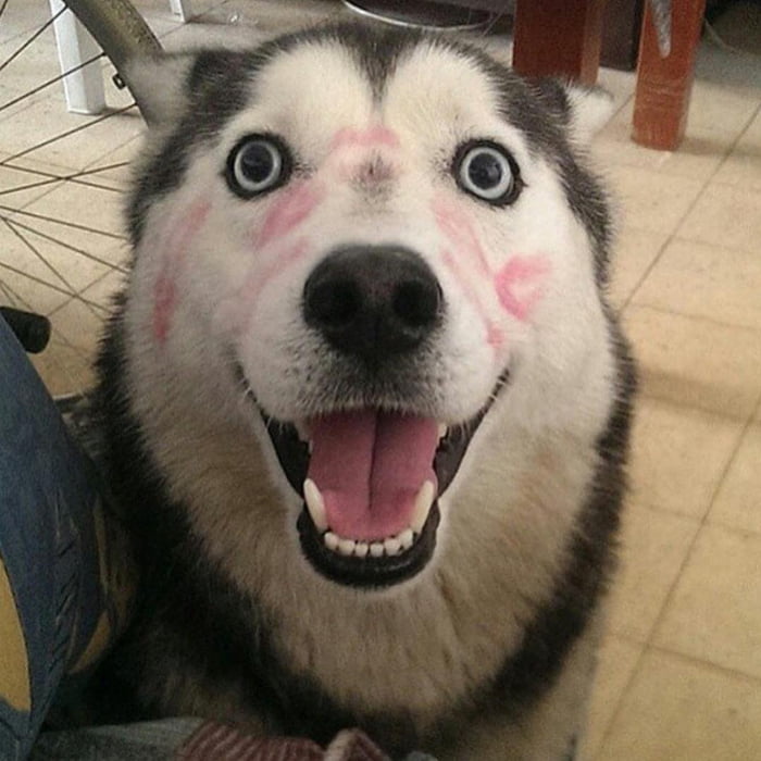Kiss kiss kiss.