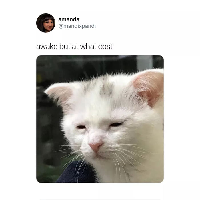 End this