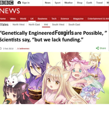 Genetically Engineered Catgirls are Possible,  Scientists say, “but we  lack funding.” - iFunny