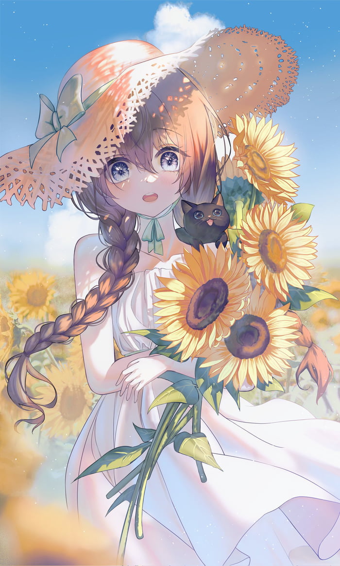 Sunflower & Cat 9GAG