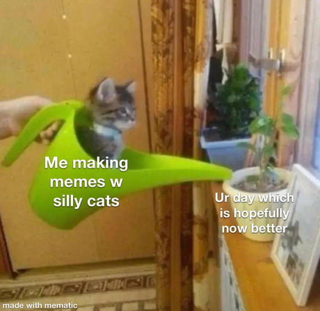 Cat mems are best mems - 9GAG