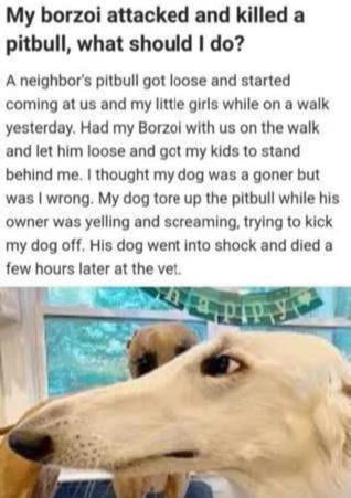 Borzoi, mauler of those who maul children themselves