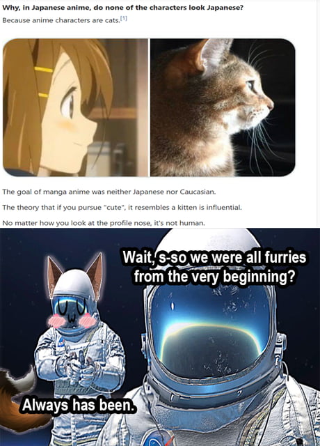 kitten  Kitten, Anime memes, Anime