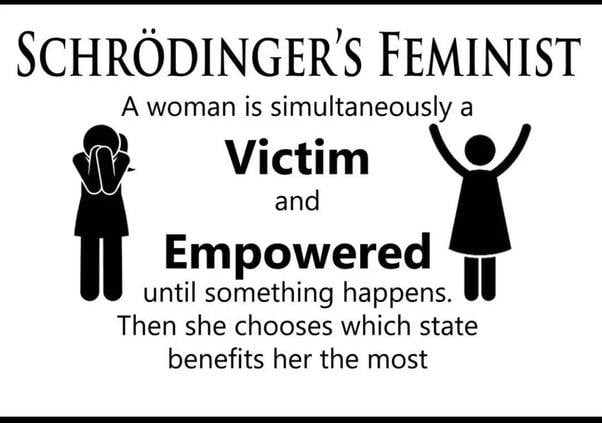 Schrodinger's Feminist - 9GAG