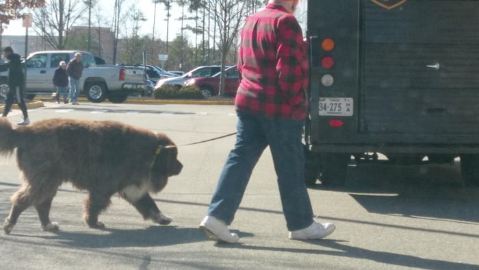 Paul Bunyan & Babe doing a shop at Costco