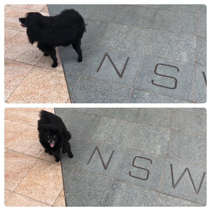 If a G O O D B O Y E were to stand in two states how would he stand?