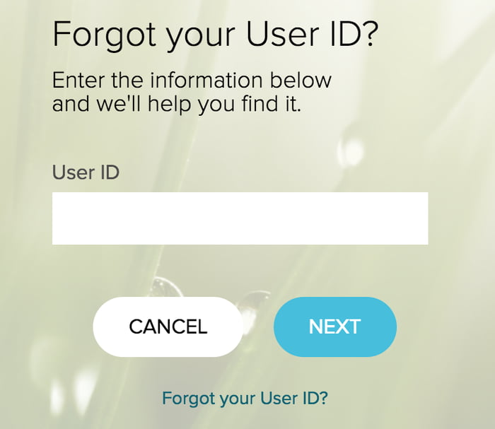 Forgot your User ID?