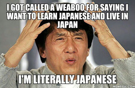 I M Half Japanese But Never Had The Chance To Learn The Language Or To Go There 9gag