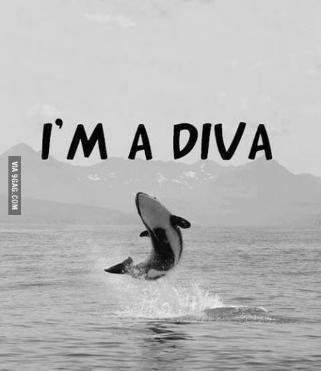 I'm diva! - 9GAG