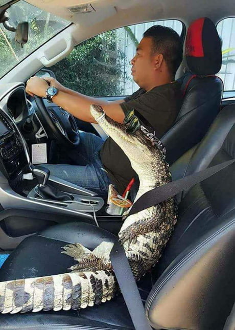 Sit tight crocy... this is thug life.