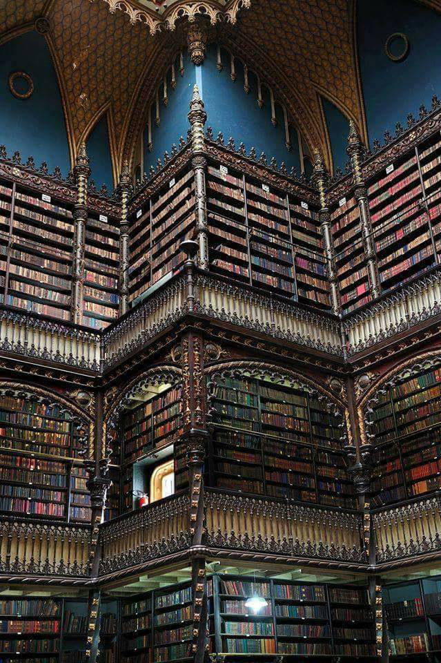 Library in Rio De Janeiro, Brazil
