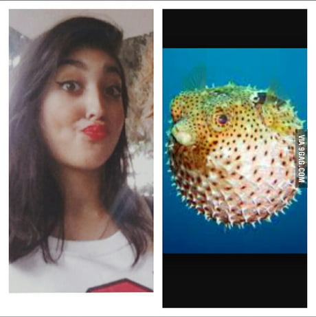 Screw the duck face the puffer fish face is going to be the next big thing  (sry for the bad quality) - 9GAG