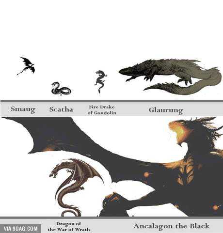 Smaug Mighty dragons of Middle-Earth! Size comparision. Glaurung Dragon of  the Ancalagon War of Wrath the Black Srfaug Fire Drake Scatha of Gondolin -  America's best pics and videos