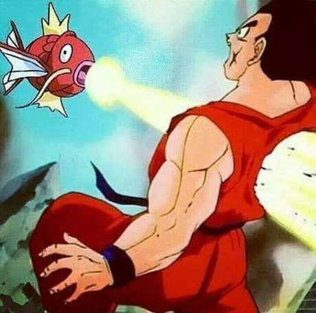 Magikarp Used Splash It S Supereffective 9gag