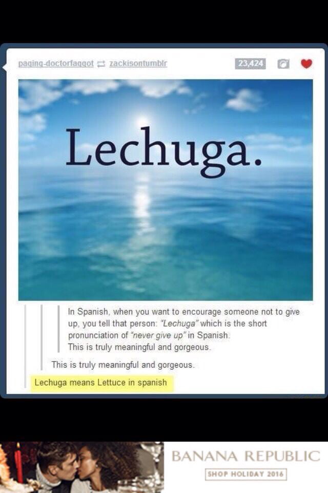 spanish-is-a-beautiful-language-9gag