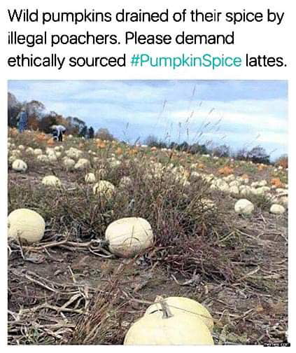 Monsters.