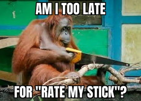 Best Funny monkey Memes - 9GAG